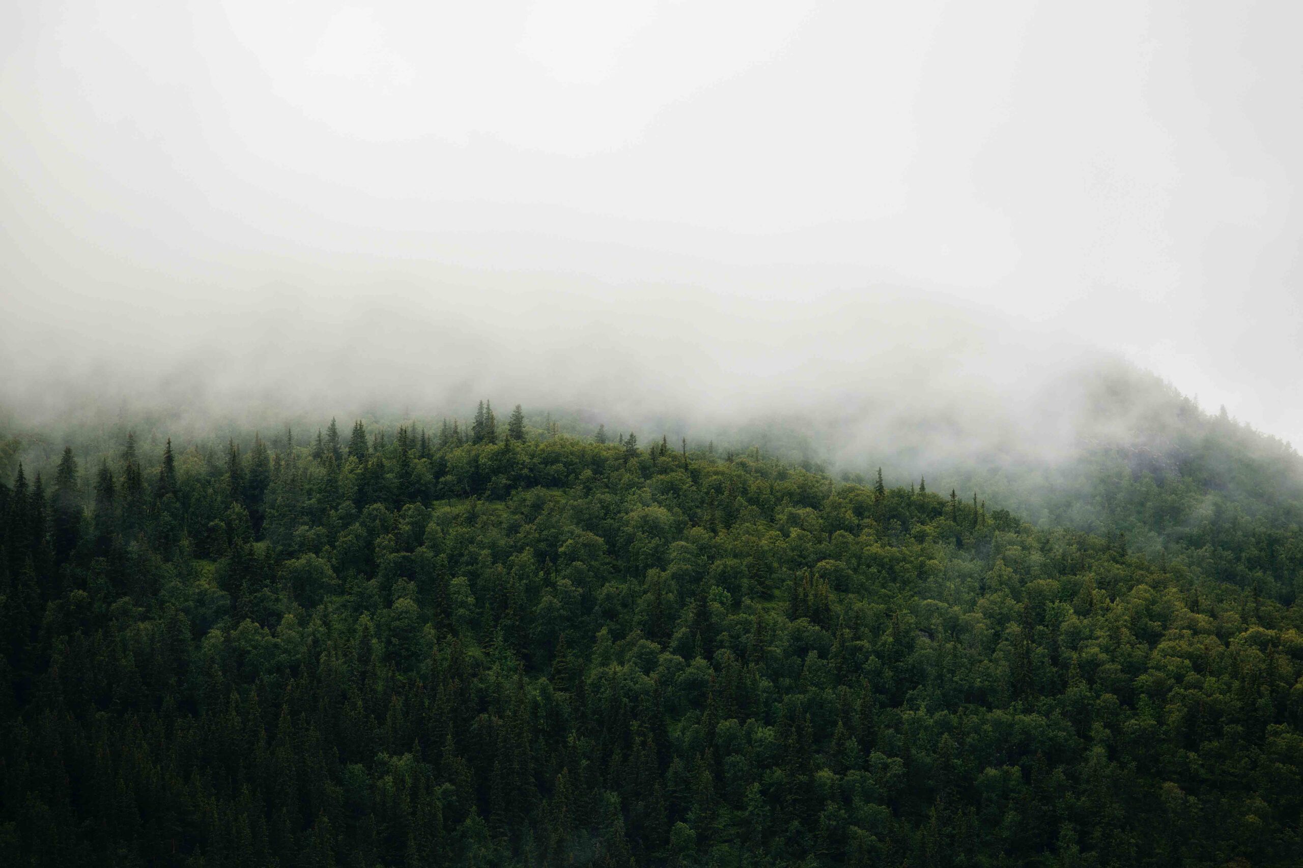 jon-flobrant-v1eV6HUdcIE-unsplash-scaled Sustainable, mission-led design