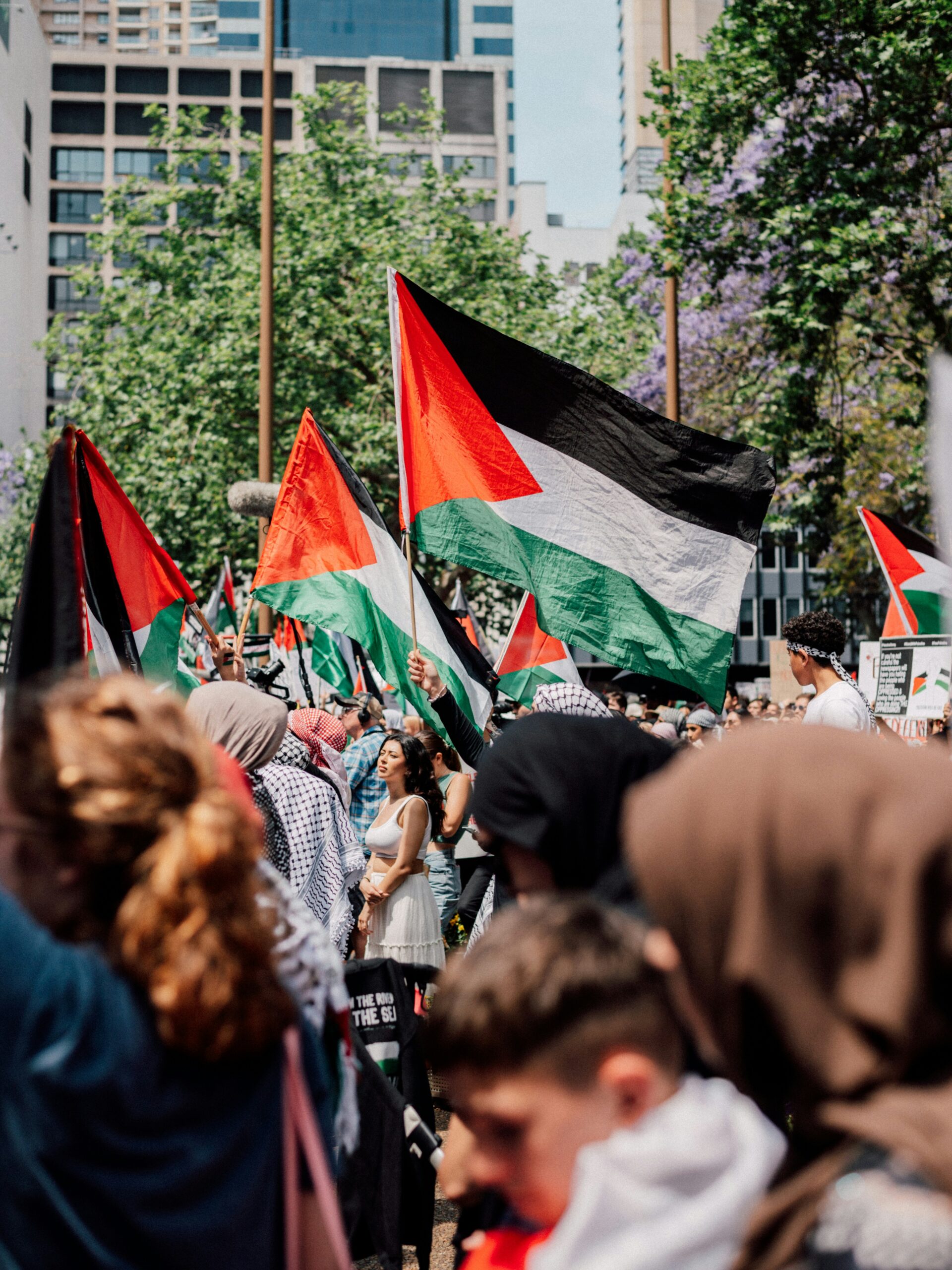 nikolas-gannon-DNN_008JieA-unsplash Solidarity with Gaza — Palestinian flags